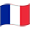 french flag icon